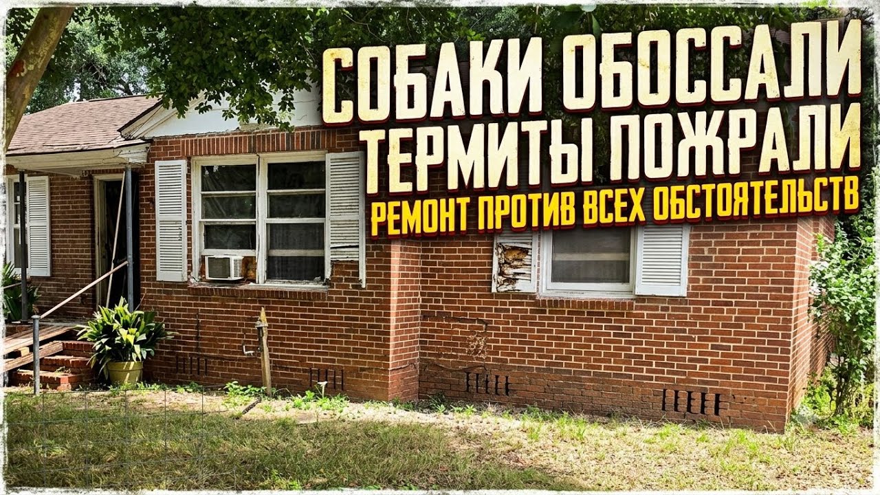 Обоссаный дом во Флориде. Заканчиваю разбор.