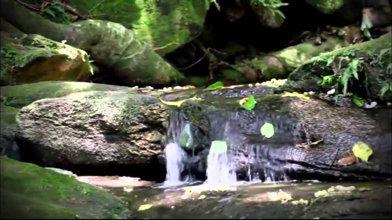 Un llamado de María Lionza