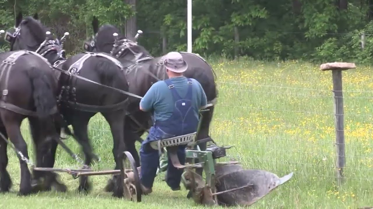 Plowing with Three Abreast