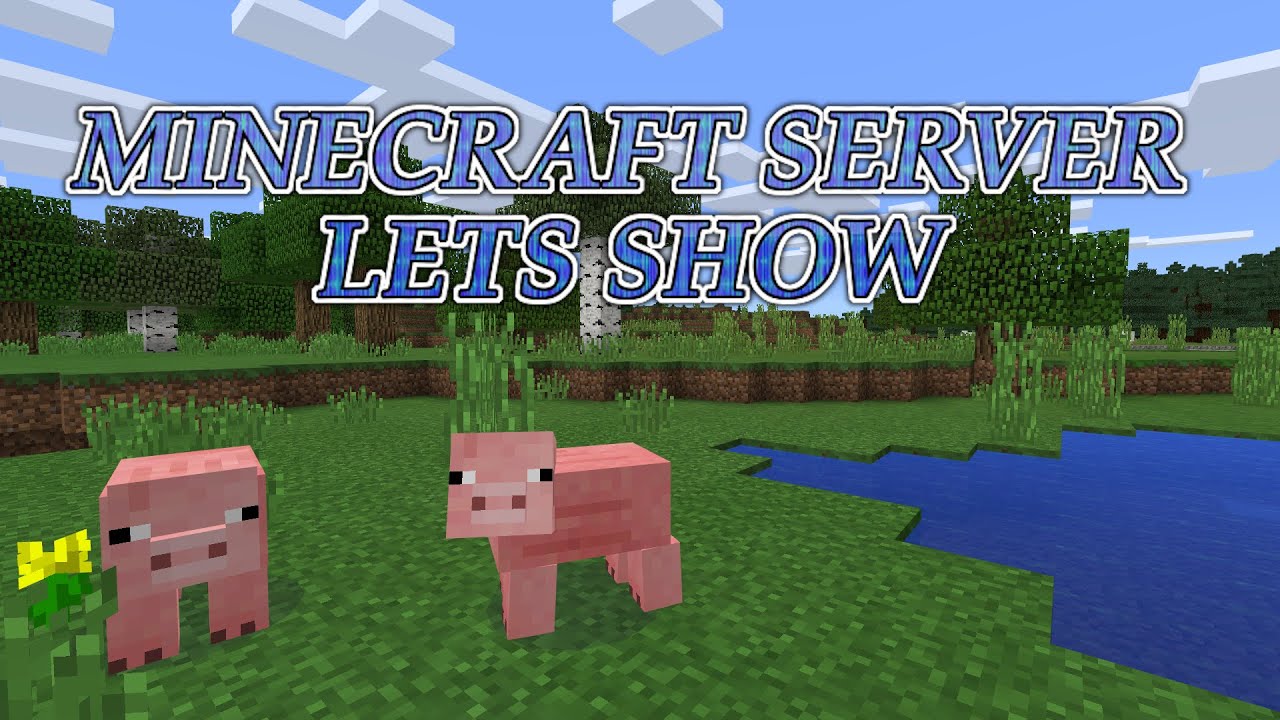 MINECRAFT SERVER LETS SHOW (und Regeln)