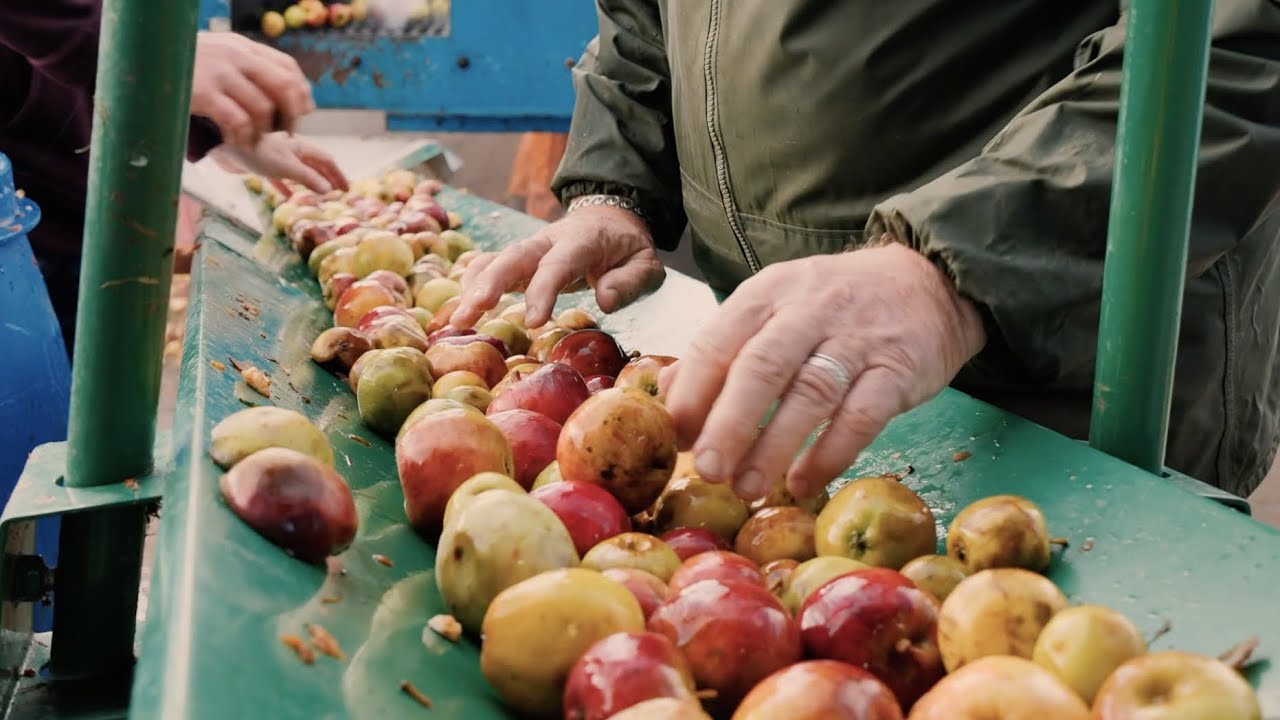 Cranborne Chase Cider - The Process 2020