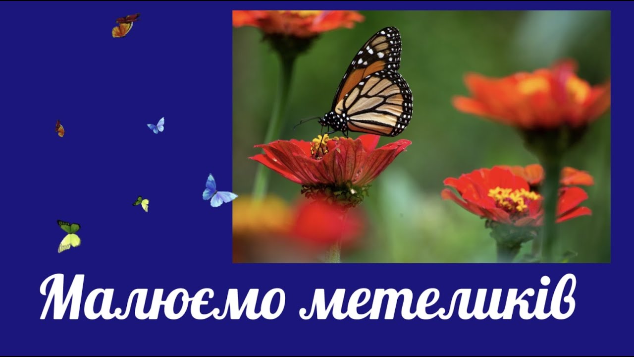 Малюємо метеликів. Малювання для дітей