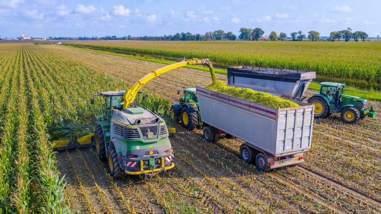 John Deere 9900i + 490 Plus 12 Row | Silage in Italy | MASON