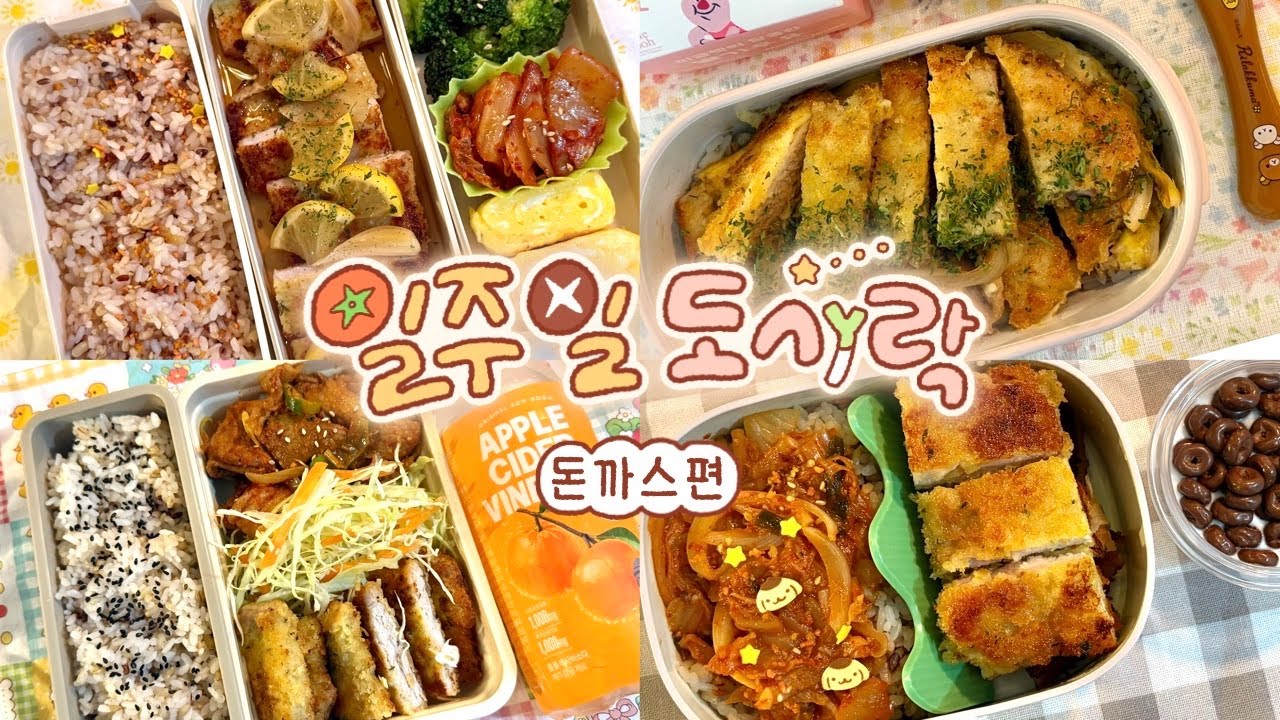 4만원 고기의 기적✨.. 일주일 돈까스 지옥 도시락 🐽 #85