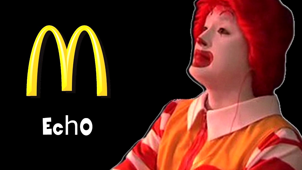 【DONALDS ECHO】
