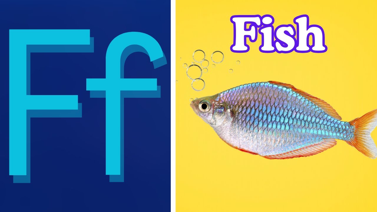 F for Fish 🐠 | F for  Flower 🌼 | F Words for Kids | ABC Phonics Vocabulary | #BEEQANKIDS