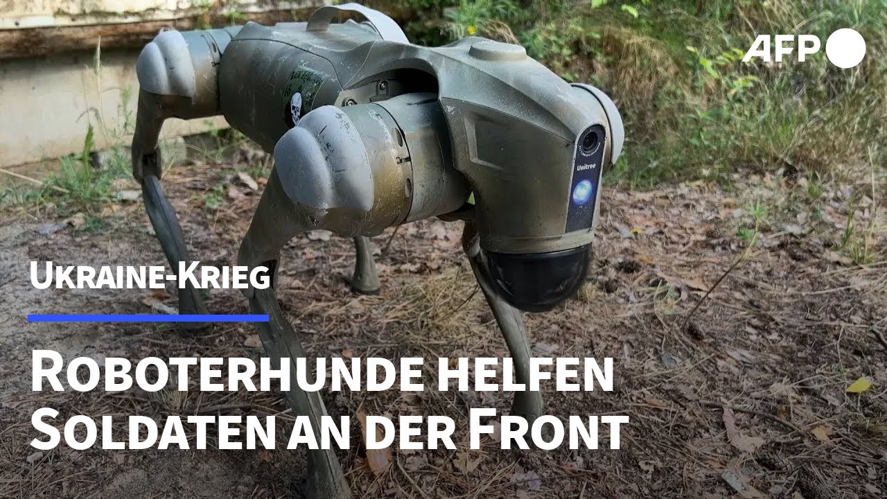 Ukraine: Roboterhunde helfen Soldaten an der Front | AFP