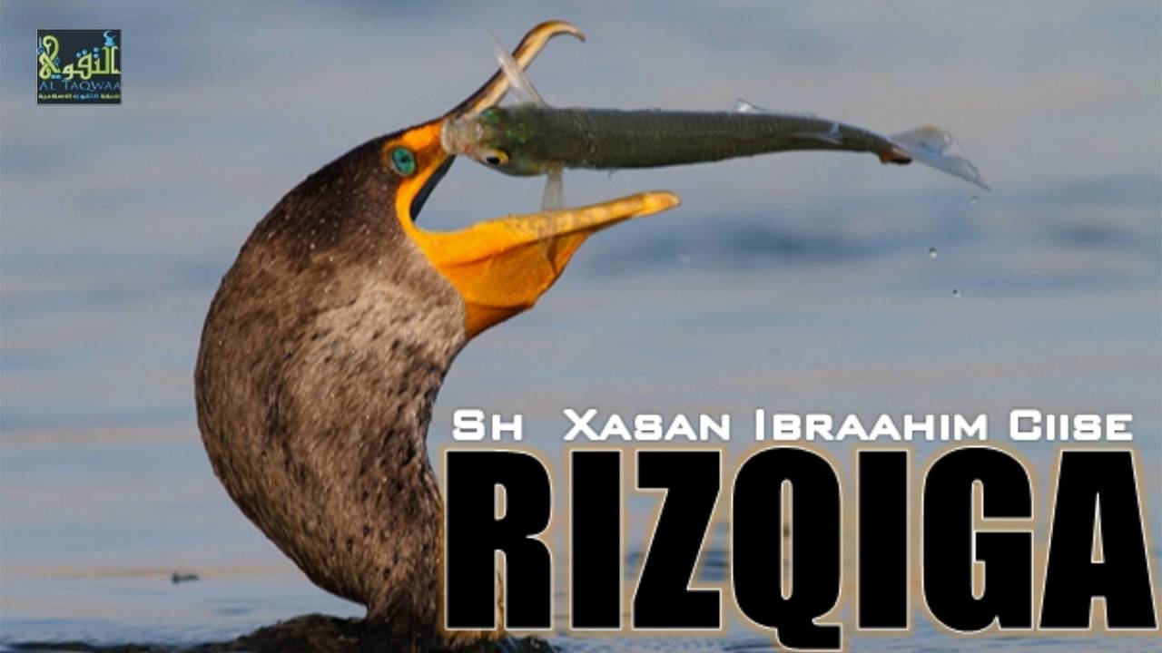 Rizqiga *Qeybta 1* [ وَفِي السَّمَاءِ رِزْقُكُمْ وَمَا تُوعَدُونَ ] || Sh Xasan Ibraahim Ciise