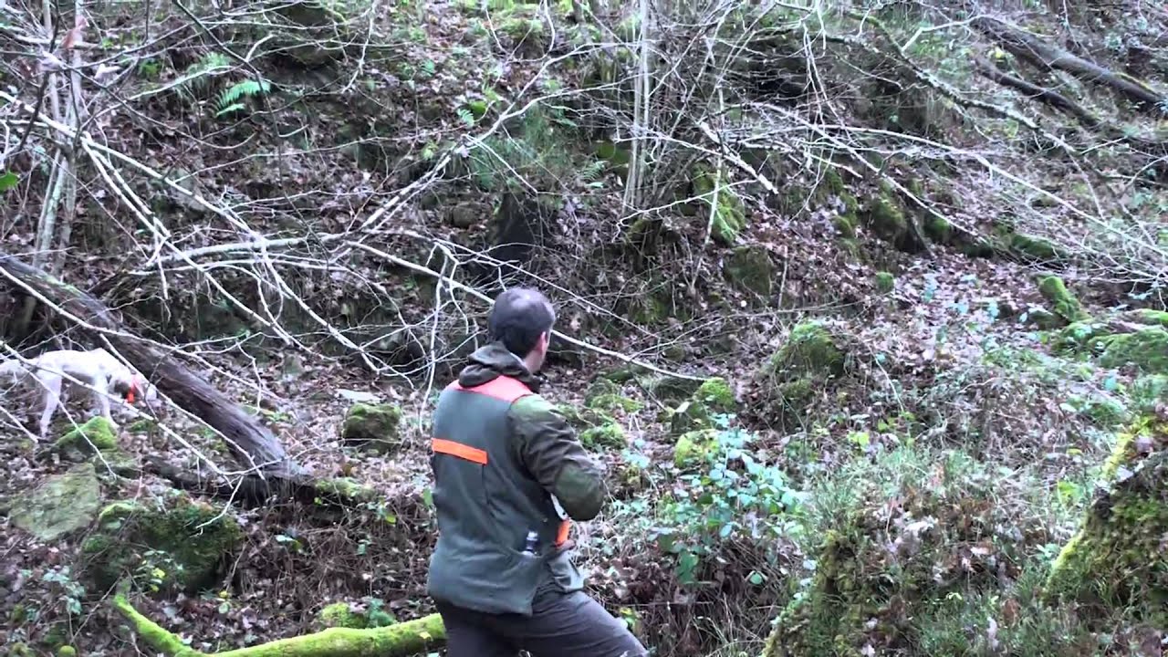 DEMUSLERA BECADA 2013 (3)