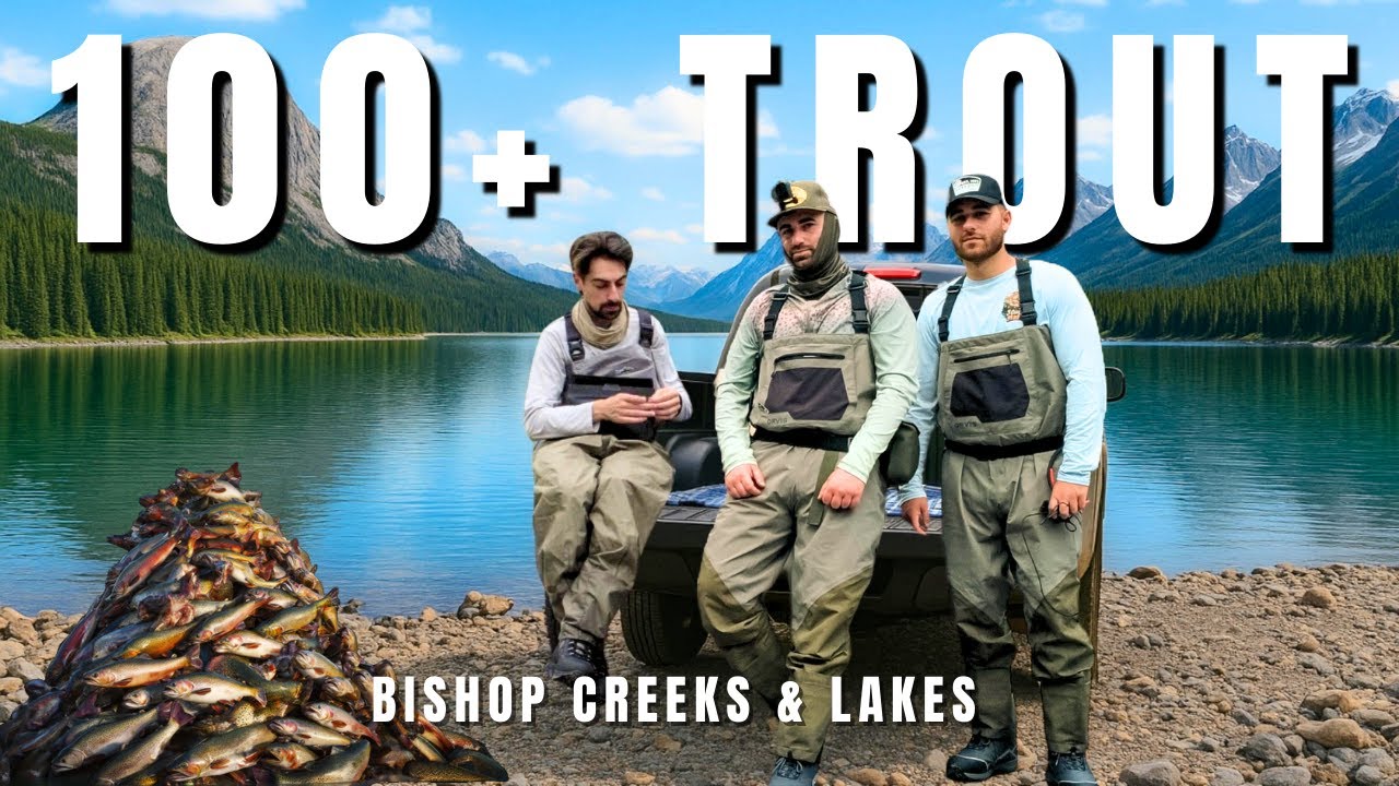100+ Trout in 3 Days | Eastern Sierra (Bishop) Fishing Trip