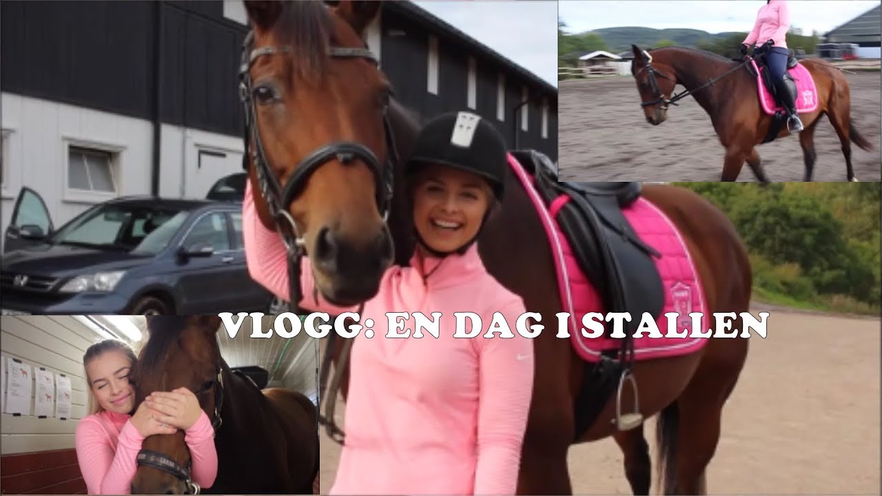VLOGG EN DAG I STALLEN / VLOG - A DAY AT THE BARN