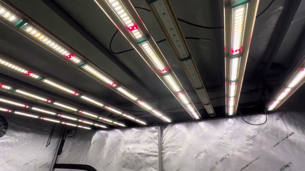 New Run in the Aircubes 🔥