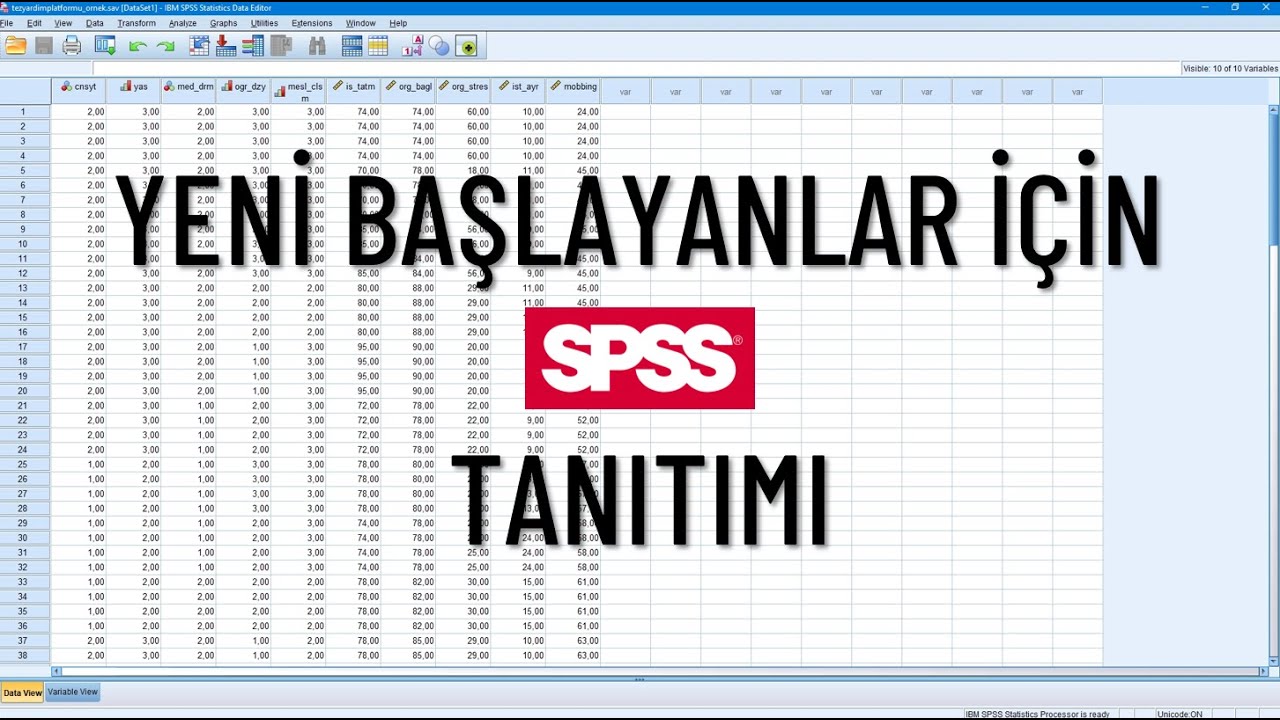 Yeni Başlayanlar İçin SPSS Tanıtımı