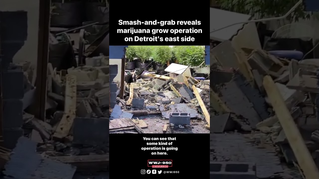 Smash-and-grab reveals marijuana grow operation on Detroit's east side