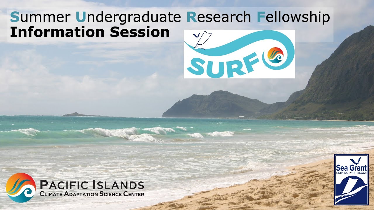 2025 Summer Undergraduate Research Fellowship Information Session