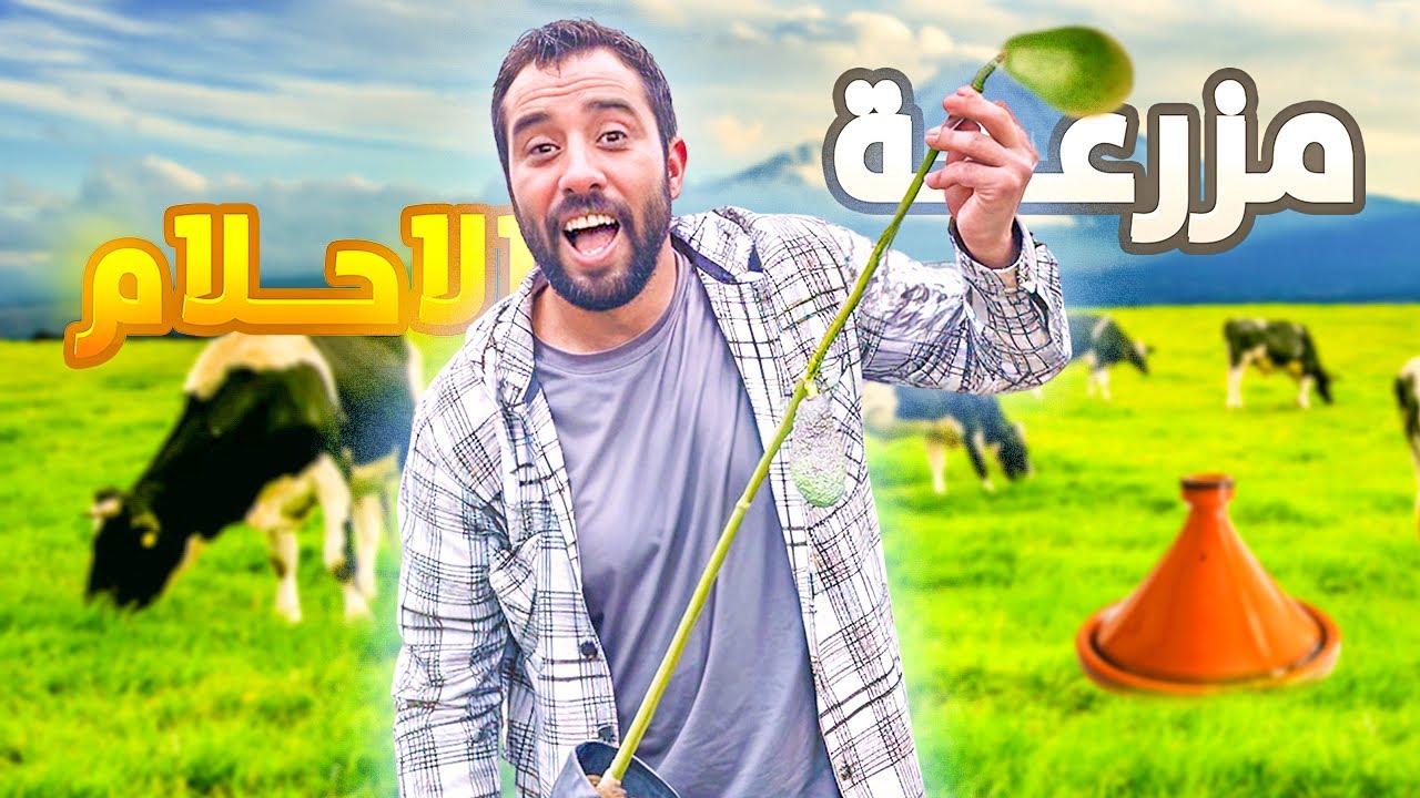 مغامرة فلاحية 🧑‍🌾 زرعنا الأفوكادو وذوقنا طاجين ديال بصح 🔥🍲