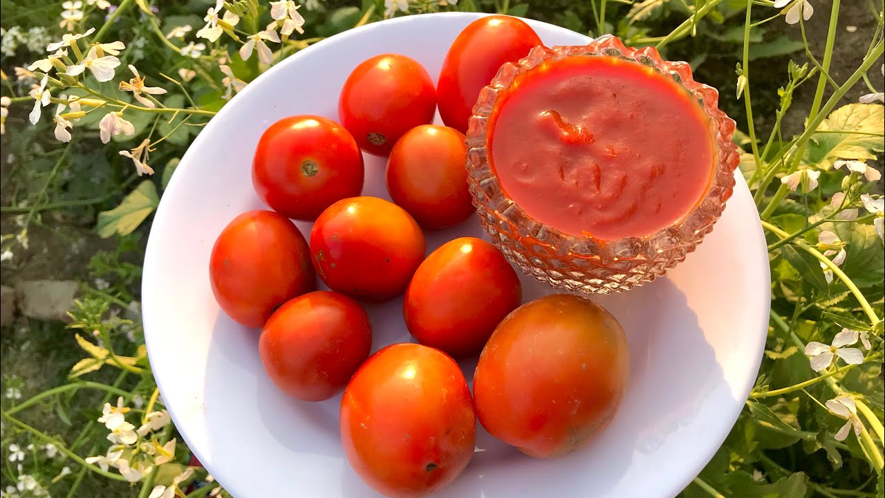 Garlic Tomato Ketchup Recipe | Homemade Tomato Ketchup Recipe | Tomato Sauce Recipe