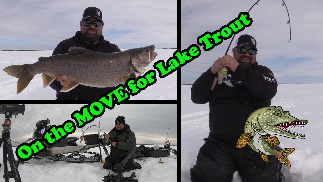 Run and Gun Lake Trout!