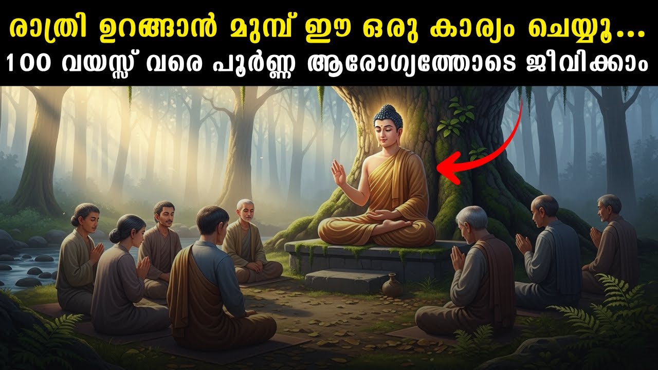 രാത്രി ഉറങ്ങാൻ മുമ്പ് ഈ ഒരു കാര്യം ചെയ്യൂ… 100 വയസ്സ് വരെ പൂർണ്ണ ആരോഗ്യത്തോടെ  | Buddha Secret