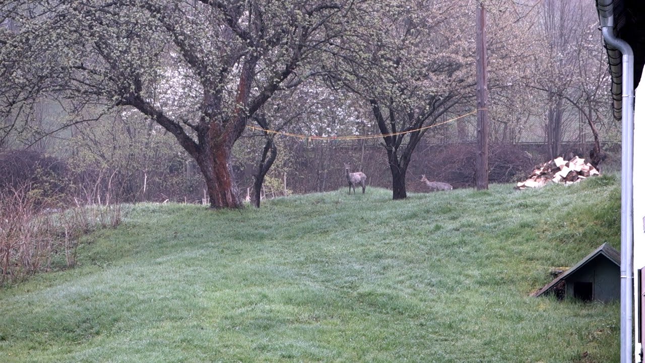A Foggy Polish Village in Early Spring