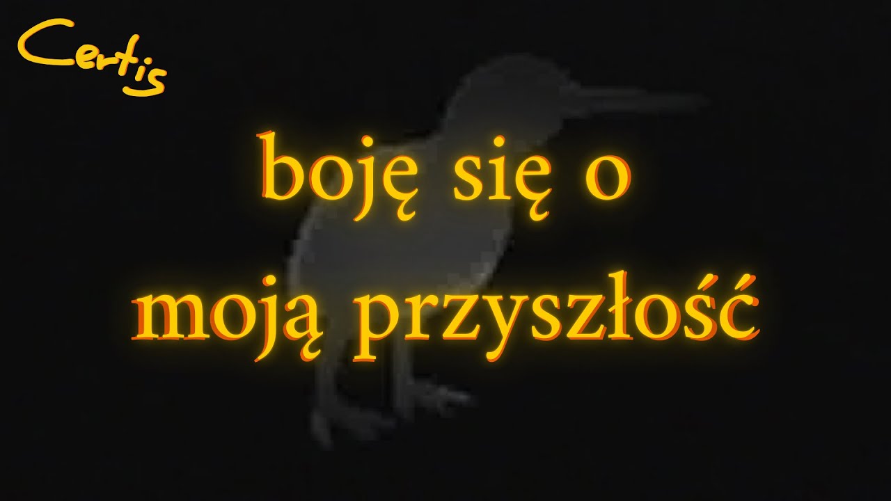 Certis - boję się o moją przyszłość [VISUALIZER]