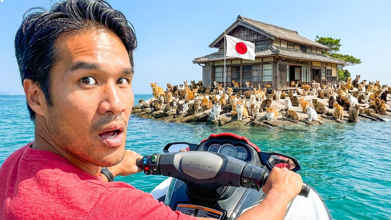 This Japanese Island Has More Cats Than People… and a Free House