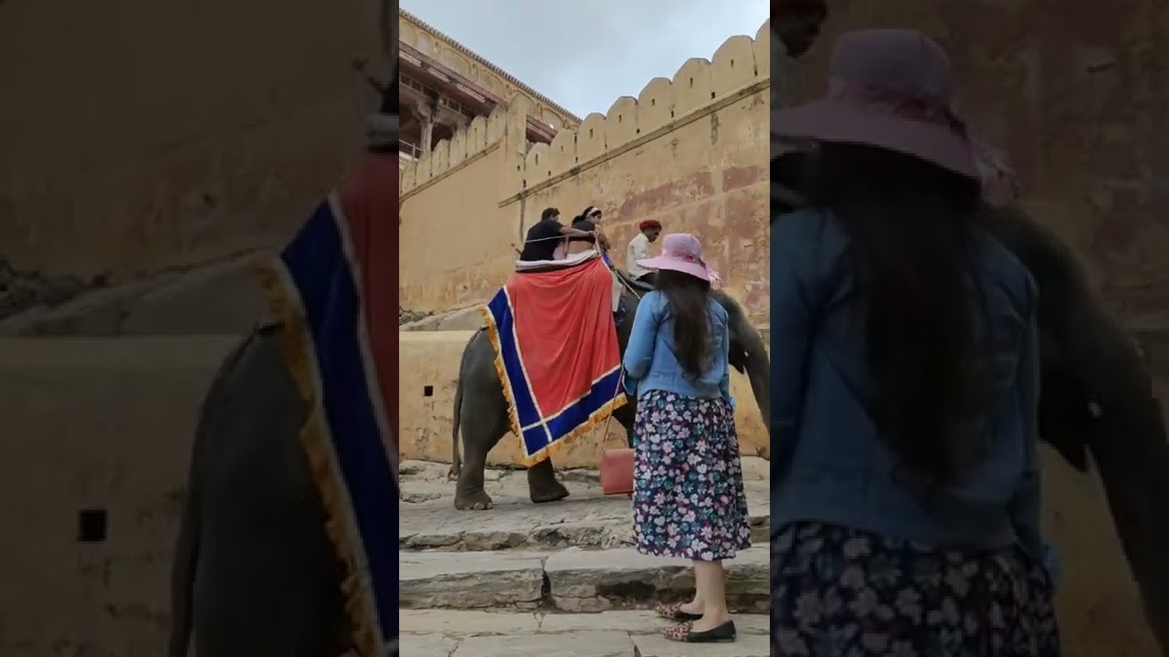 Elephant ride in amer fort #jaipur #amerfort #travel #tourism #rajasthantourism