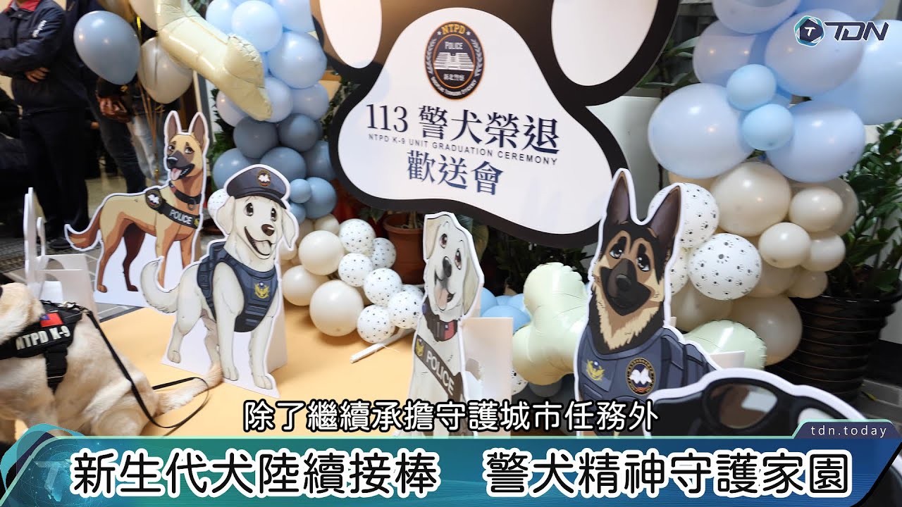新北市6隻功勳警犬光榮退役！　　「福星」、「首領」等英雄犬開啟幸福退休生活