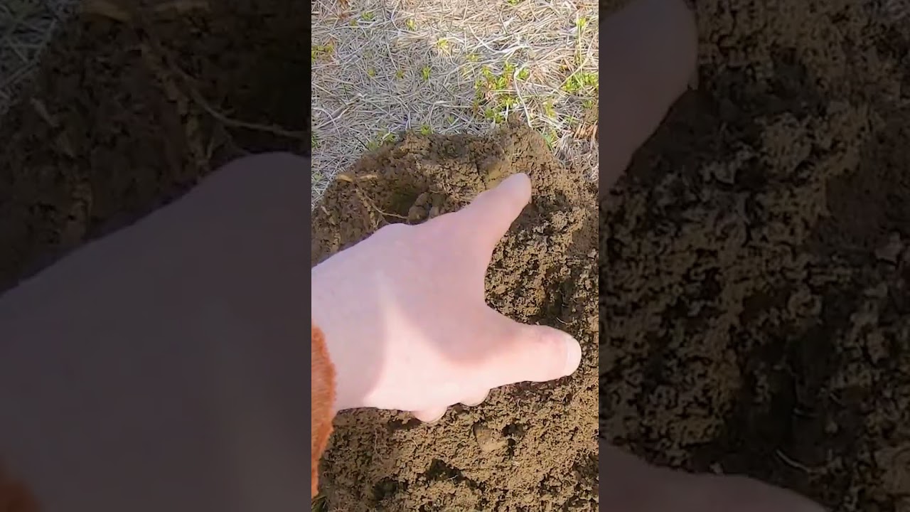 YAY! It's a Flying Eagle Cent! Metal Detecting