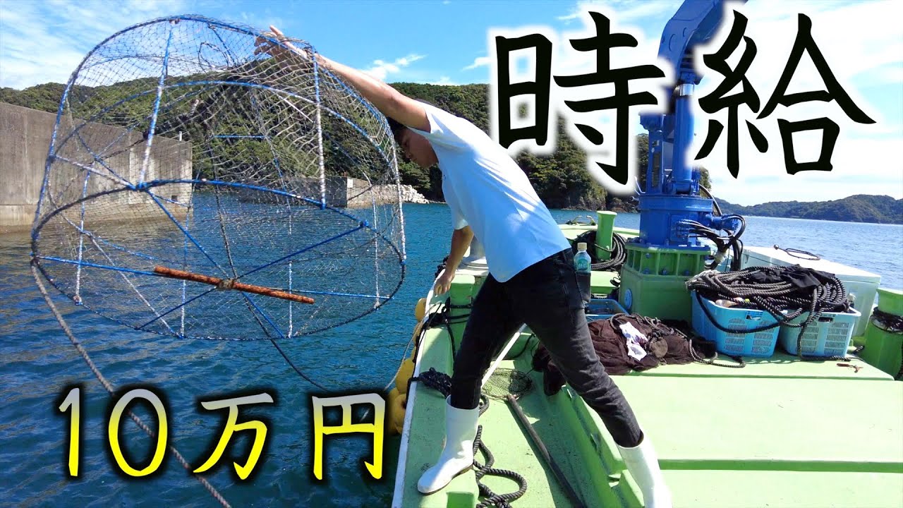 土佐の貧乏漁師お得意のカゴ漁で、ついに大漁？