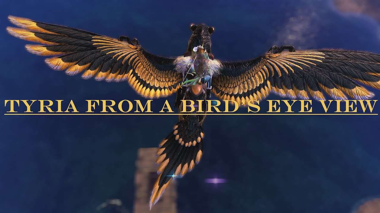 [Wing]Tyria From A Bird's Eye View - Guild Wars 2 Griffon Flying Hard Stunt Compilation Across Tyria