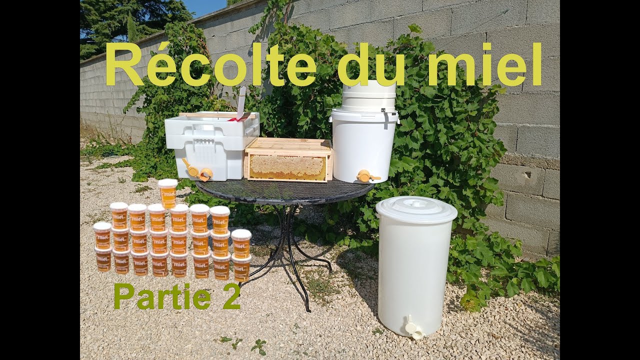 Ma première récolte de miel !!! (Partie 2: Traitement du miel)