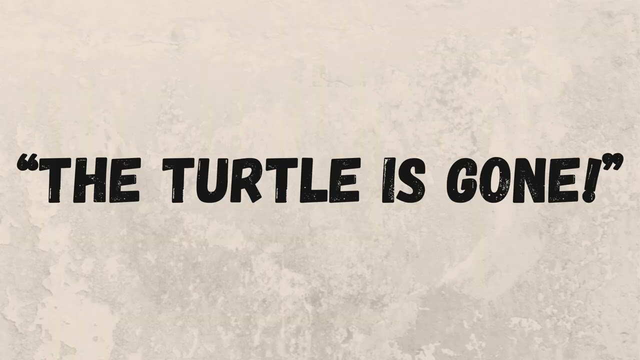 The Missing Turtle