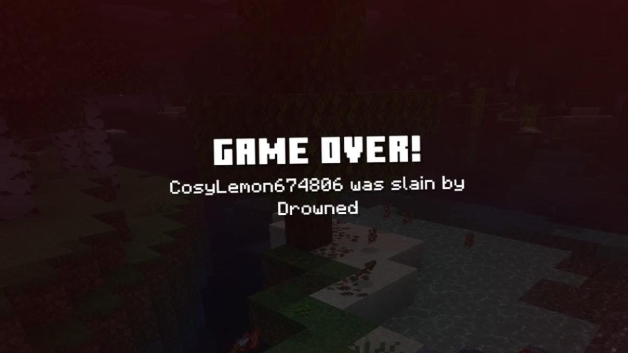 Day 1 of hardcore Minecraft