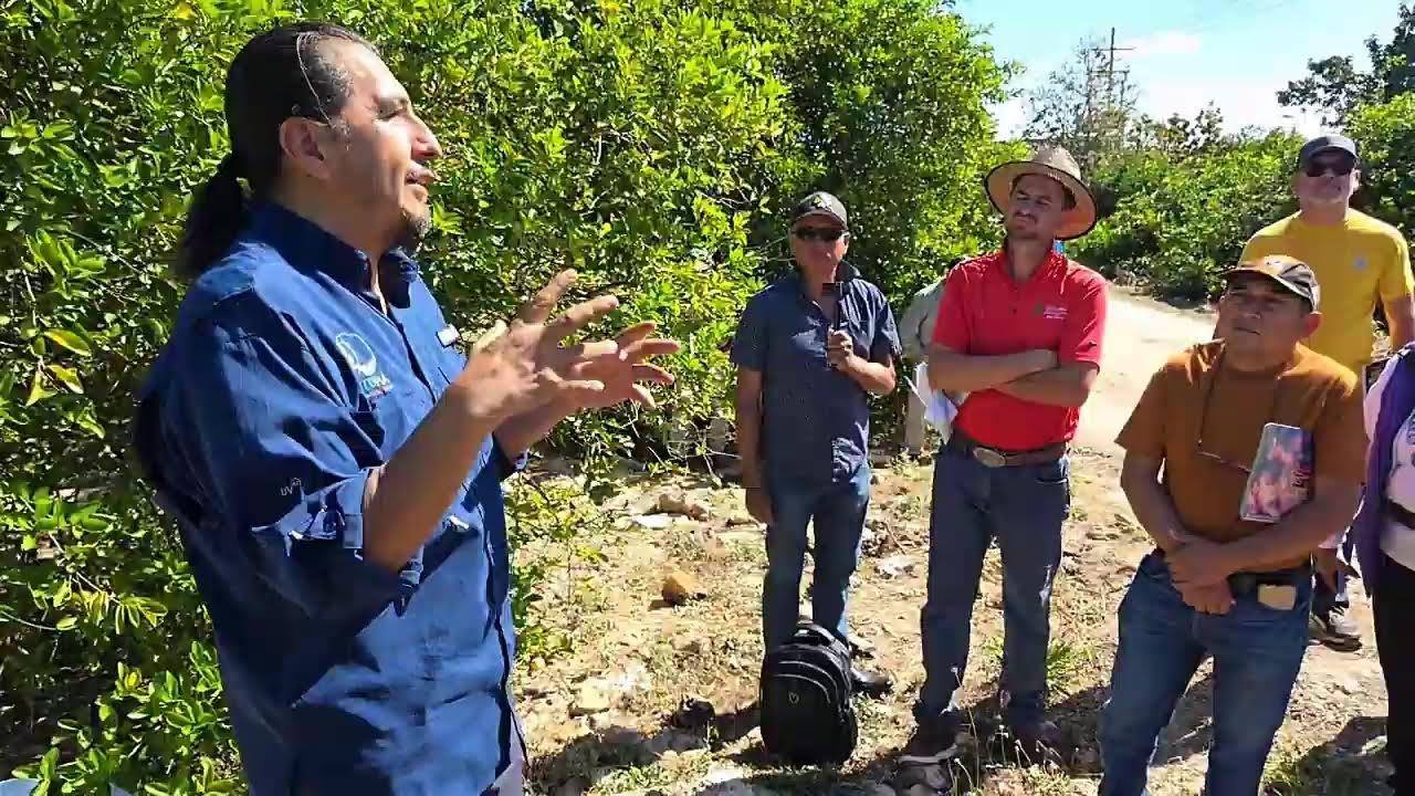 Cultivo sobre las piedras en Yucatán