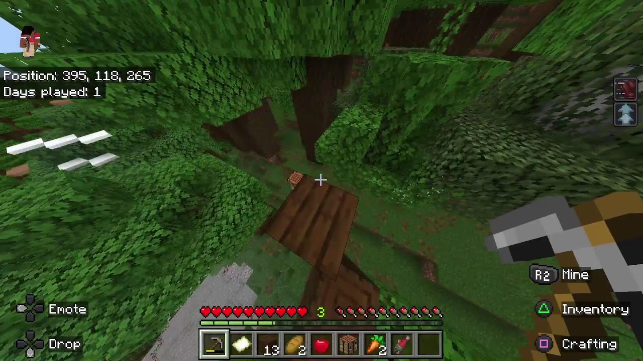 LIVE-Minecraft survival