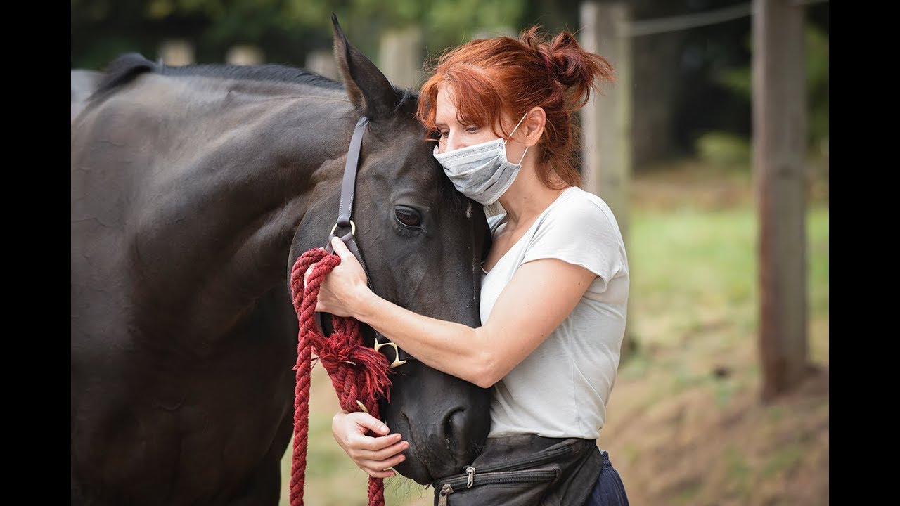 Animals evacuated from Skamania County due to Columbia River Gorge wildfires