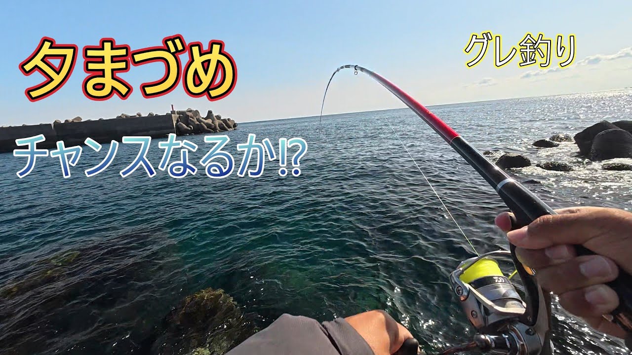釣りで朝寝坊したとき普通の堤防でも夕まづめまで粘ればまあまあのサイズが釣れる説