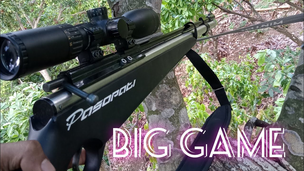 pasopati terbaru tes big game //nyagong babi hutan di pragon