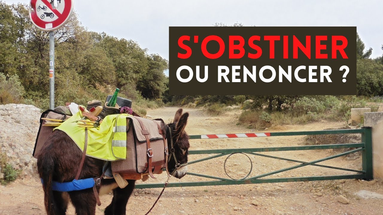 Quand les animaux et les éléments disent  ‼️NON ‼️