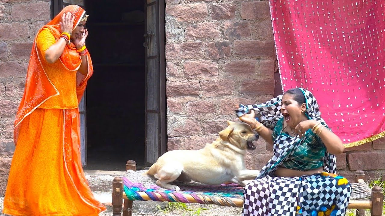 देवरानी को कुत्ता पालना पड़ा भारी | Devrani-Jethani Rajasthani Balu chaudhari Comedy DJC STUDIO