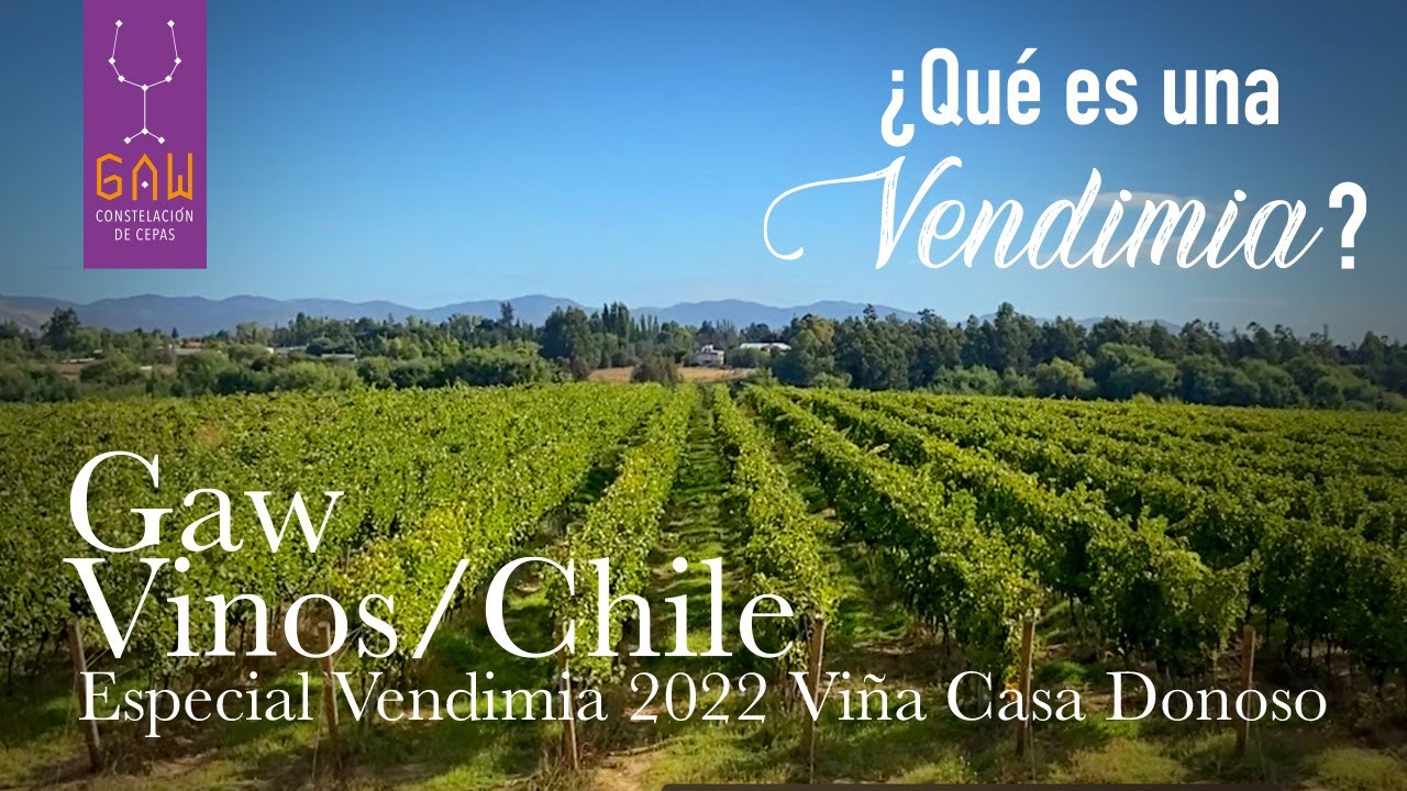 ¿Qué es una Vendimia?, Gaw Vinos y Casa Donoso te lo explican.