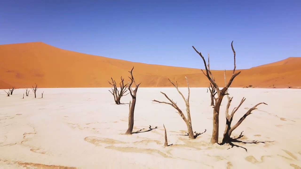 NAMIB deadvlei, near sossusvlei, namib-naukluft park,#SOSSUSVLEI #NAMIBIA #AFRICA #namib
