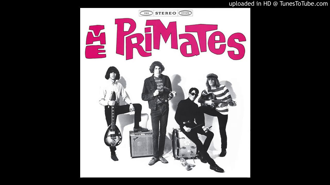 The Primates - Bad Luck