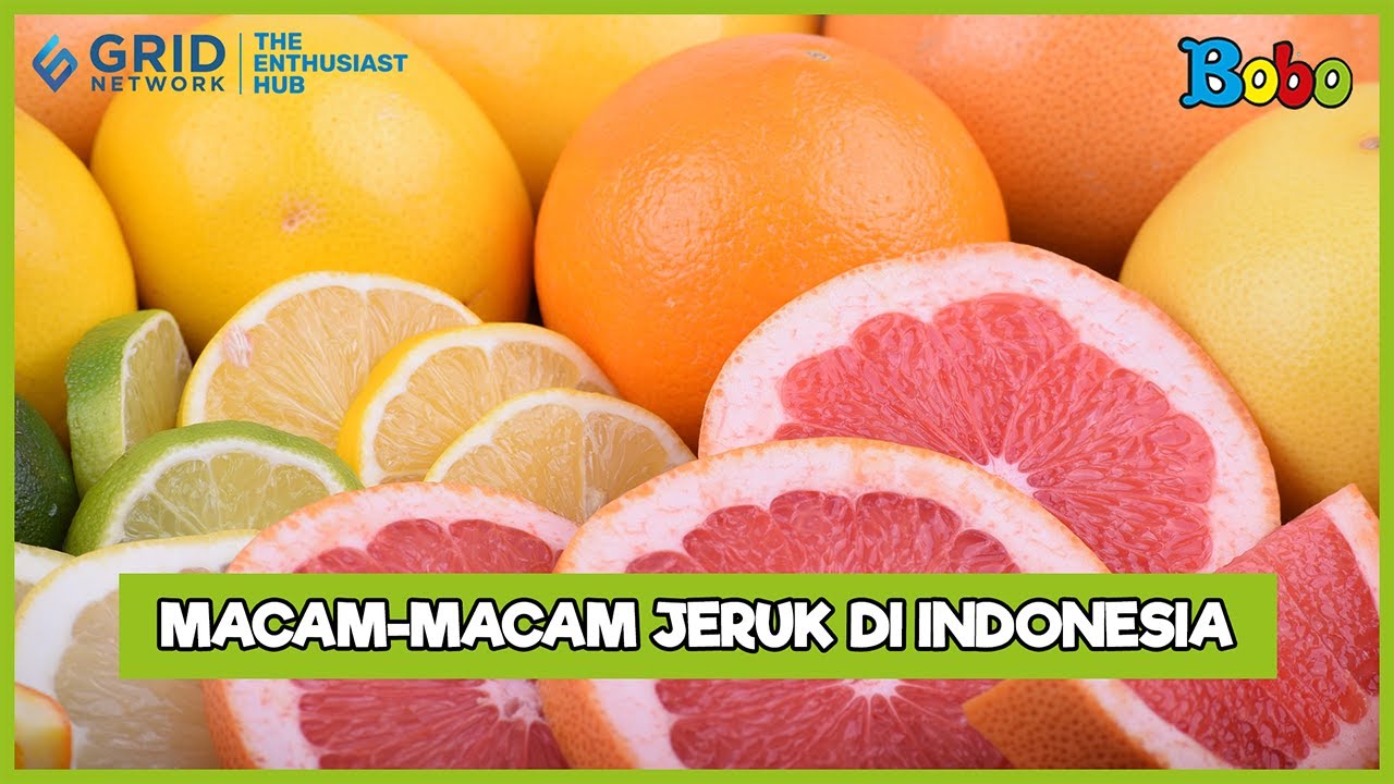 Mengenal Jenis-Jenis Jeruk di Indonesia - Fakta Menarik