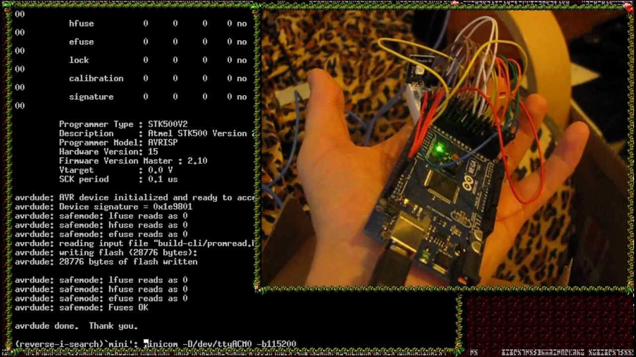 Programming Arduino in C++11 -- ROM dumping