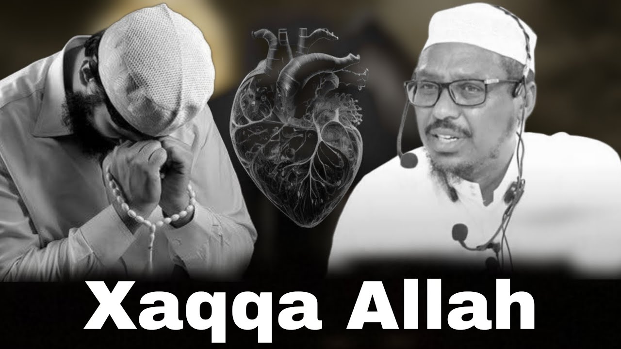 Xaqqa Allah Nagu Leeyahay || Muxaadaro || Sh Mustafe Xaaji Ismaaciil