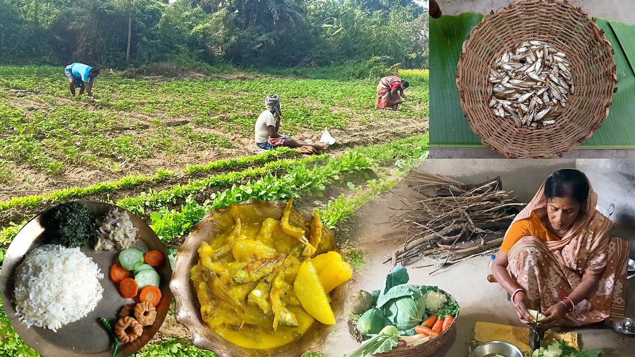 “মৌরলা মাছের ঝোল | জমির ওলকপি দিয়ে গ্রামের ঘরোয়া রান্না 🌾🐟” ✅