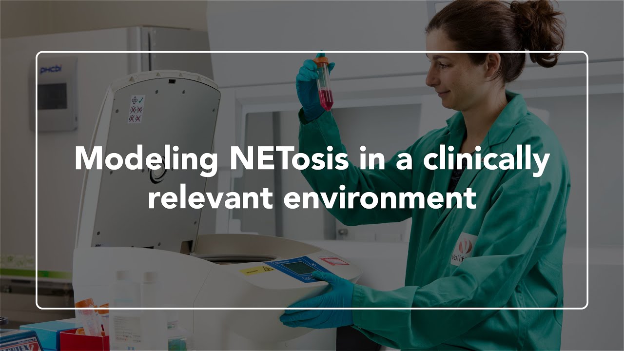 Modeling NETosis in a Clinically Relevant Environment