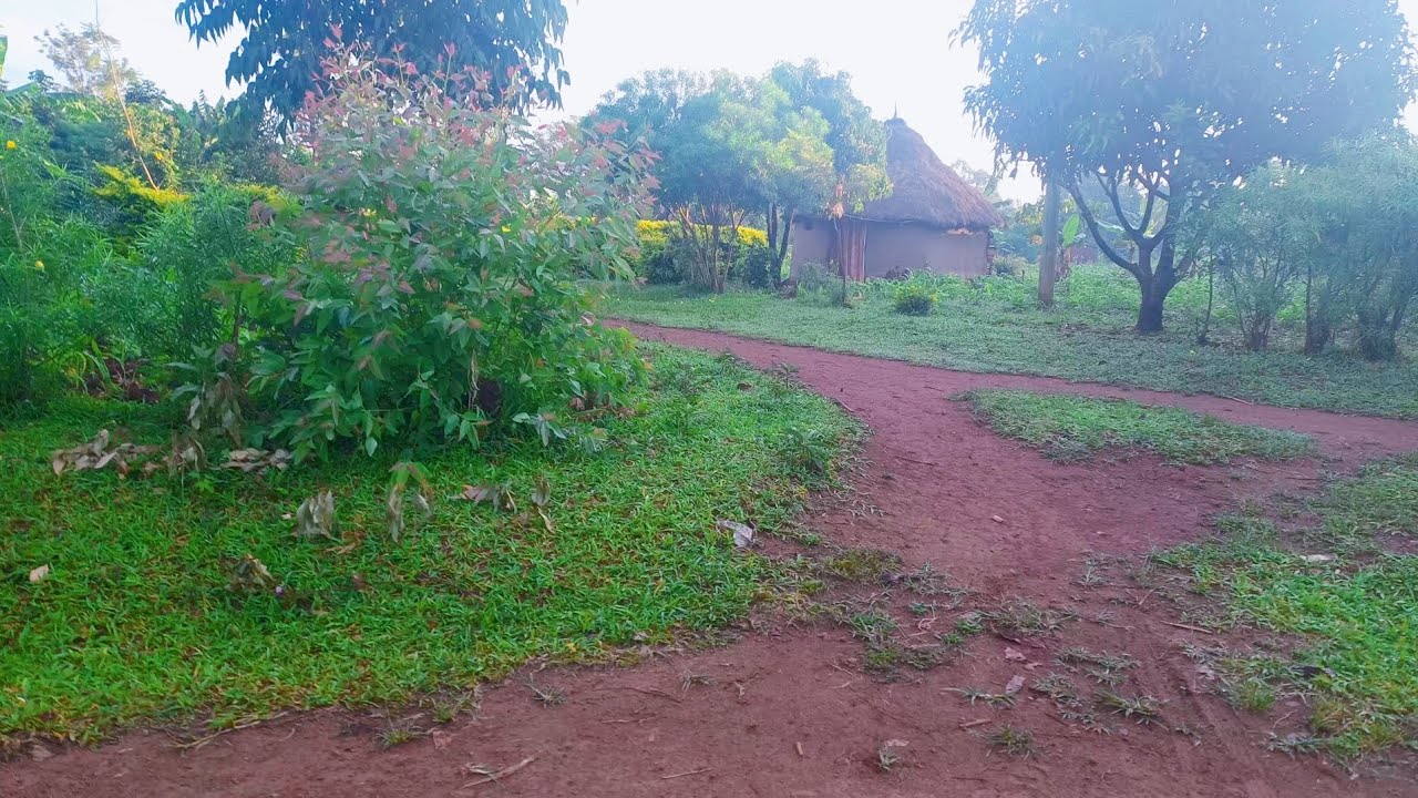 Inside My Village In Kenya Africa//Real African Village life Very Beautiful 😍